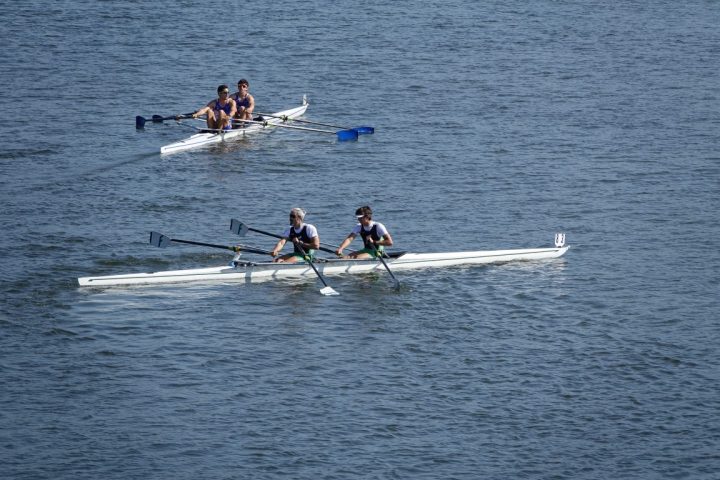 Regata 16